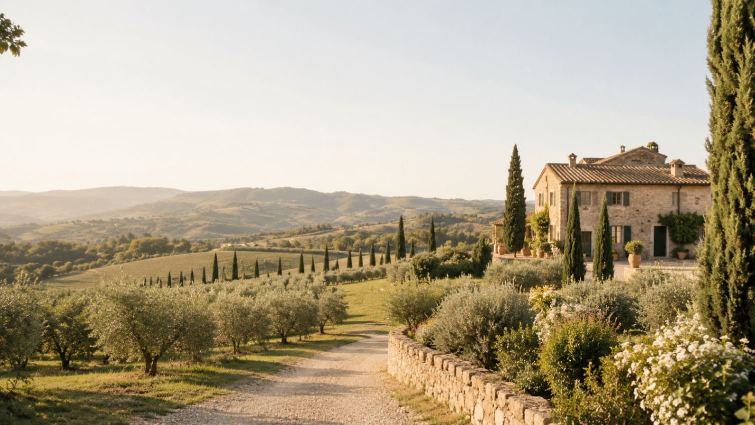 A warm morning view across olive groves and a Tuscan stone house in Val d’Orcia